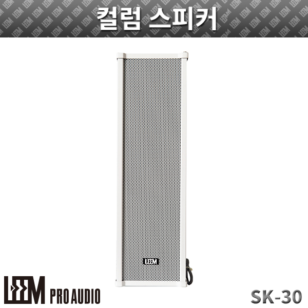 LEEM SK30/컬럼스피커 (SK-30)