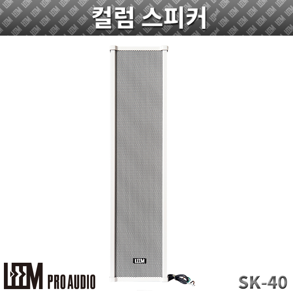 LEEM SK40/컬럼스피커 (SK-40)