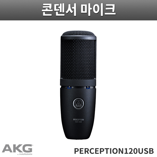 P120USB/AKG/Perception120 USB/녹음용 마이크