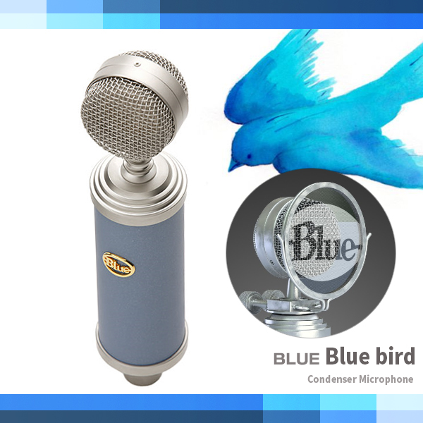 BLUE마이크 Bluebird/BLUE/콘덴서마이크/블루버드